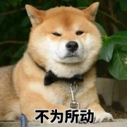im下载[强壮doge表情包]Doge表情包什么意思